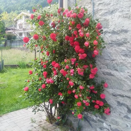 Dolcimele Bed & Breakfast
